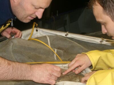 Kruisnettenonderzoek bij de Vismigratierivier. Je ziet twee mannen die in een net kijken. In het net zit iets grijs, waarschijnlijk zand. Deze mannen doen onderzoek.