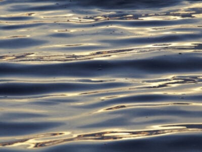 Zonsopkomst op het water. We kijken uit over het water en zien een gouden gloed. Daardoor weten we dat de zon opkomt.