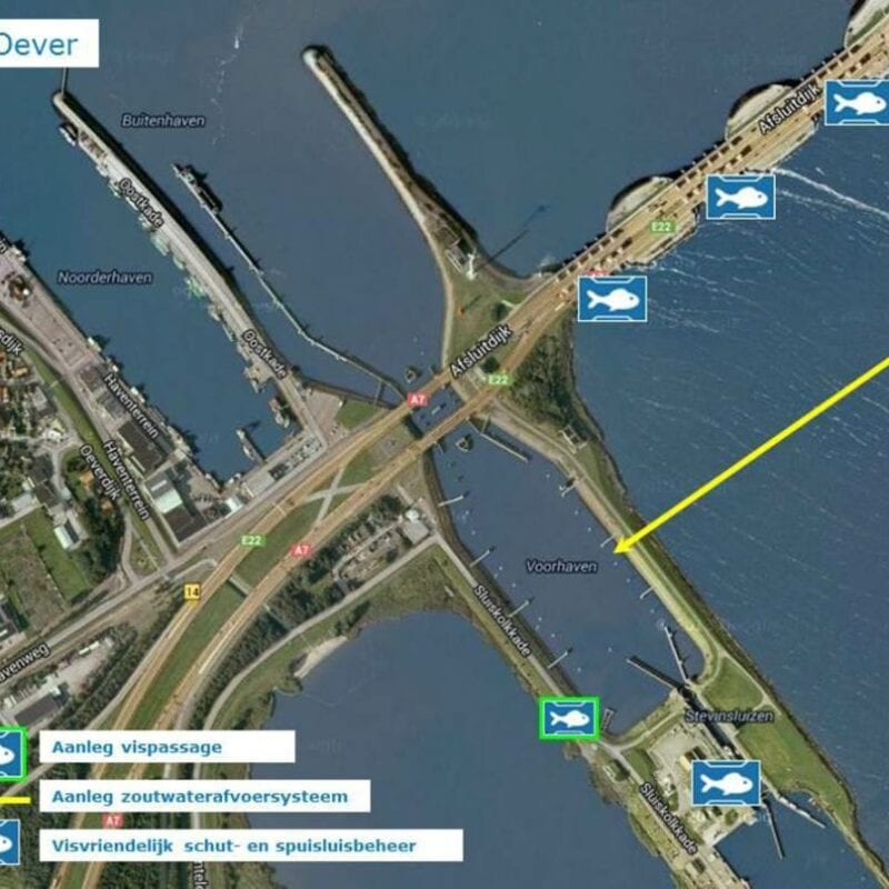 KRW Deadlines Vismigratie Afsluitdijk Gehaald De Afsluitdijk KRW Deadlines Vismigratie Afsluitdijk Gehaald De Afsluitdijk