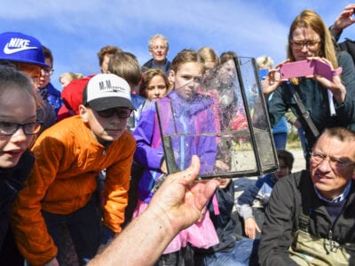 Scholenprogramma: Op zoek naar de Blije Vis. Wij zien een schoolklas vol kinderen die allemaal om een glazen bak staan. In deze bak zit een vis.