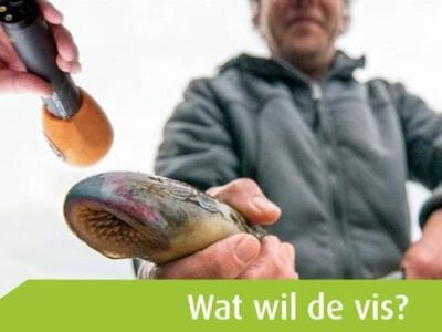 Op de foto zie je een man die een vis vasthoud. De vis wordt een soort van geinterviewd. Op de foto staat een hand met microfoon en een tekstbalk: Wat wil de vis?