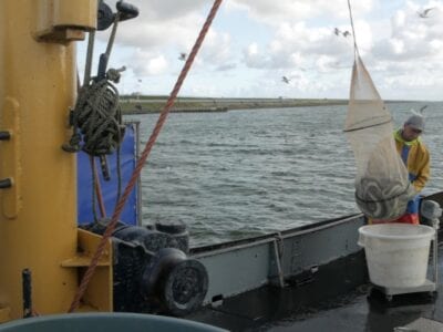 Op de foto zien we een boot met twee palingvissers.